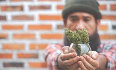 sativa pen