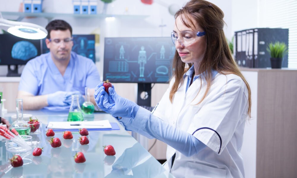 The Ultimate Guide to Reticulocytes: Function, Count, and What High or Low Levels Mean