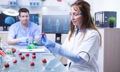 The Ultimate Guide to Reticulocytes: Function, Count, and What High or Low Levels Mean
