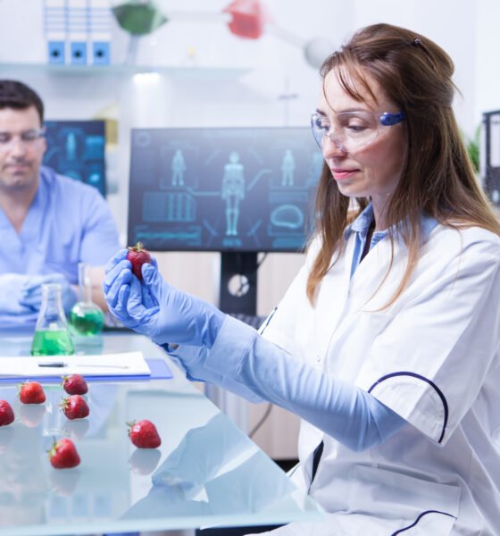 The Ultimate Guide to Reticulocytes: Function, Count, and What High or Low Levels Mean