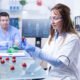 The Ultimate Guide to Reticulocytes: Function, Count, and What High or Low Levels Mean
