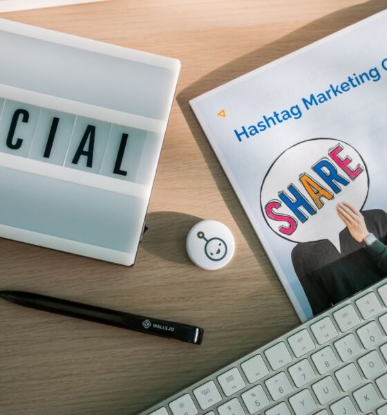 Mastering the "Holly Tone": A Complete Guide for SEO and Clarity